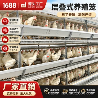 喂鸡神器料定制养鸡全自动化智能温控设备组合层叠育雏h型蛋鸡笼