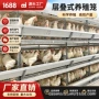 养鸡定制智能温控蛋鸡笼