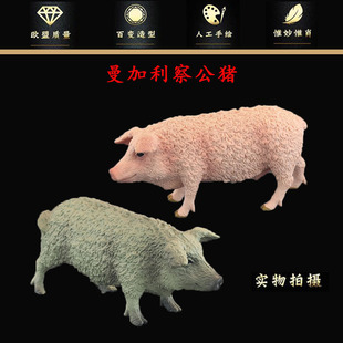 �羳���ķ������ģ���r����������ϙ��ͼ��i���������i��ͯ�[��