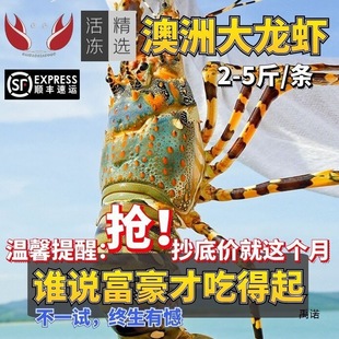 �������r�����r�����W�����r�r��ˮ�a������r��ʿ�D���r��������