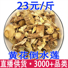 �S����ˮɏ ������؛ �^���� �����S���l���l