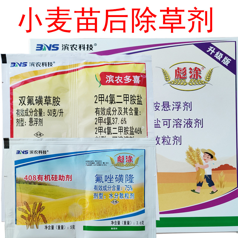 滨农彪涂 氟唑磺隆 双氟磺草胺 2甲4氯纳 一年生阔叶杂草小麦除草