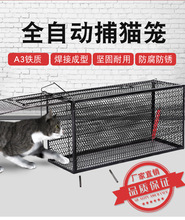 全自动捕猫笼人道救助捉猫笼超市抓猫笼新款抓猫器逮猫神器捕猫器