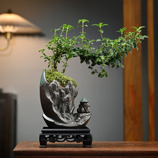 �����մ����Ի����Ϙ��������͘䘶�҃��������泣��Gֲ΢�辰