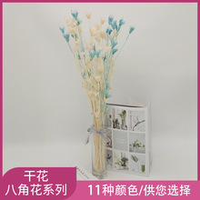 永生花八角干花批发仿真干花花束家具花材diy材料自然干花原材料