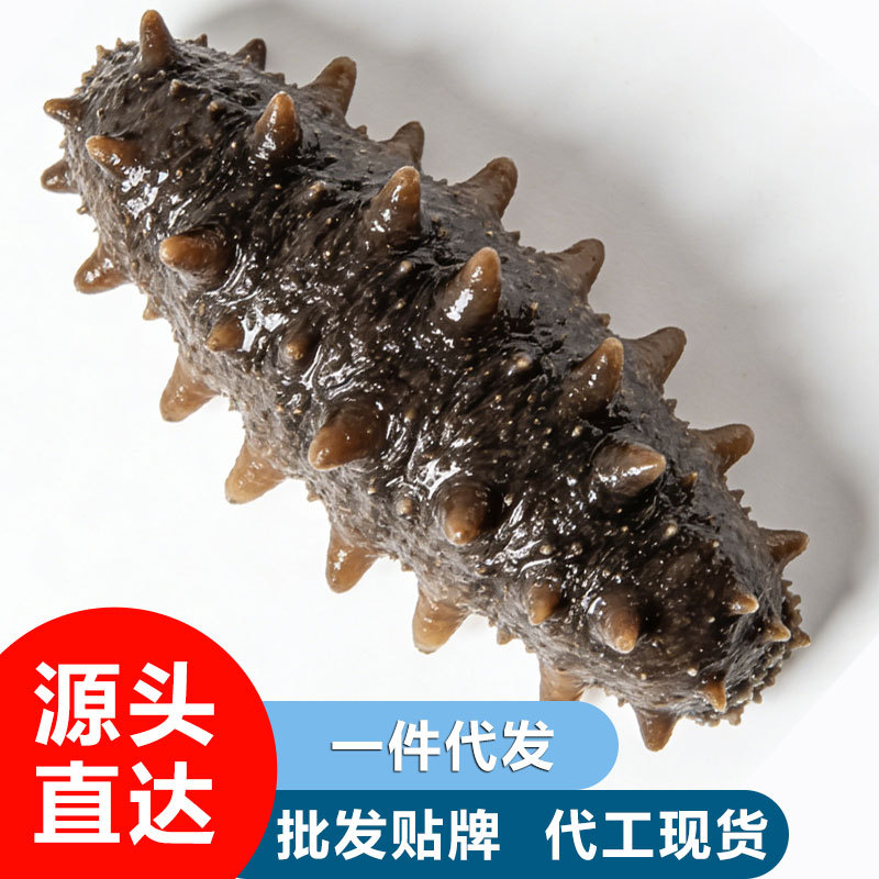 即食海参批发单只装开袋鲜食孕妇级滋补参高端送礼礼盒鲜压冷蒸