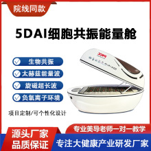 生物共振能量舱旋磁石墨烯熏蒸太空舱大健康项目身体理疗养生仪器