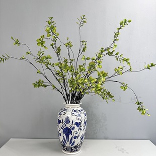 ����С���~ ����ʽ��֦�����~�L֦��֦�ٸ�֦�Ҿ����P�b[��Ʒ