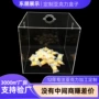 乐高亚克力定制手办展示盒