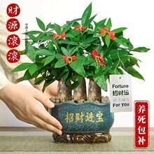 ���U�lؔ����������Gֲ�[���҃ȿ͏d��լֲ���·�����ȩ��ؔ����