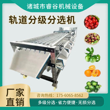 ����Ѫ��5���ּ��C �����x���C���[�Y�x�C ܉��ʽ����ˮ�����x�C
