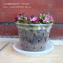 ͸��͸������ȫ�·Nֲ�m�����ϸ��|���B���U�պ����m���c