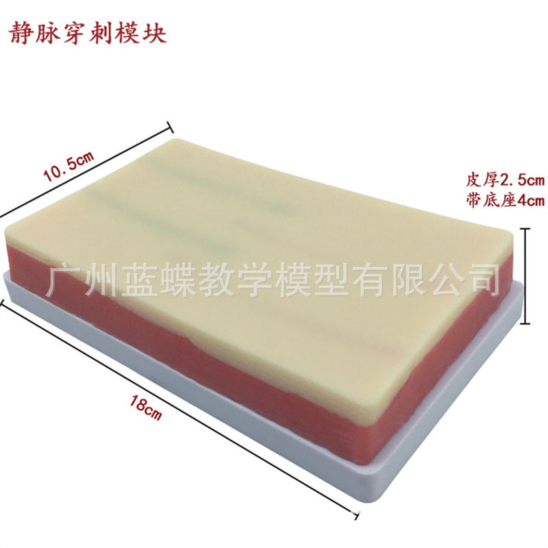 �๦��Ƥ������ע����ϰģ�� Ƥ��Ѫ�ܶ�����Һ ���⴩��ѵ��ģ��