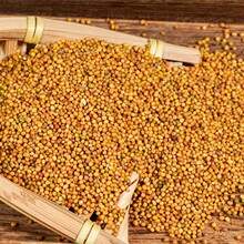 ���|�S�׽���500g �S���� ��؛����ӟo�� �Ƀ��o�sƷ�|���C