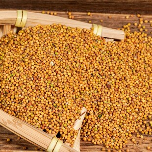 ���|�S�׽���500g �S���� ��؛����ӟo�� �Ƀ��o�sƷ�|���C