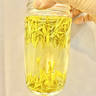 �S��ѿ�²�2023��ɽ�S�������㽭ԭ�a�ػ���G����b�ߙn���~