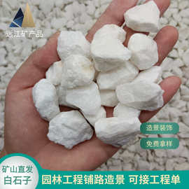 白石子鹅卵石园林工程庭院花园装饰小白石卵石白砾园林景观白石子