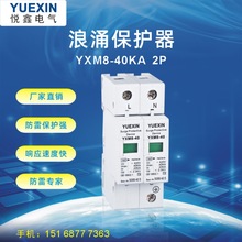 一级二级浪涌保护器防雷2P40KA家用避雷器 电涌 电源防雷器乐清柳