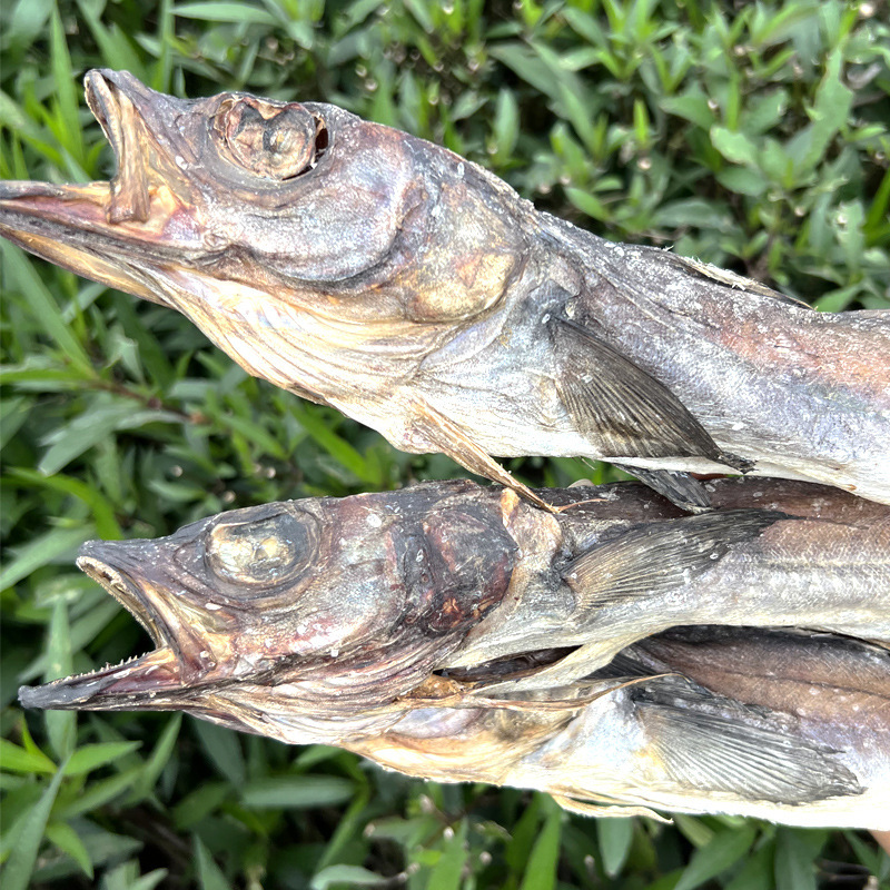 北海柴魚乾明太魚大棒魚タラコ乾海産乾貨物海魚スープ煮粥1斤ロット|undefined