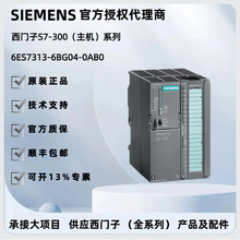 TS7-300PLCģKCPU312C/313C-2DP/314C314C-2P315-2DP317s