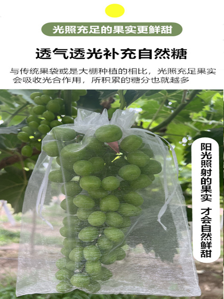 微信图片_20240604220808