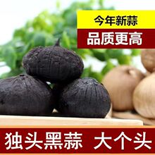黑蒜独头黑蒜即食煲汤佳品软糯酸甜源头厂家独头黑蒜山东特产整箱