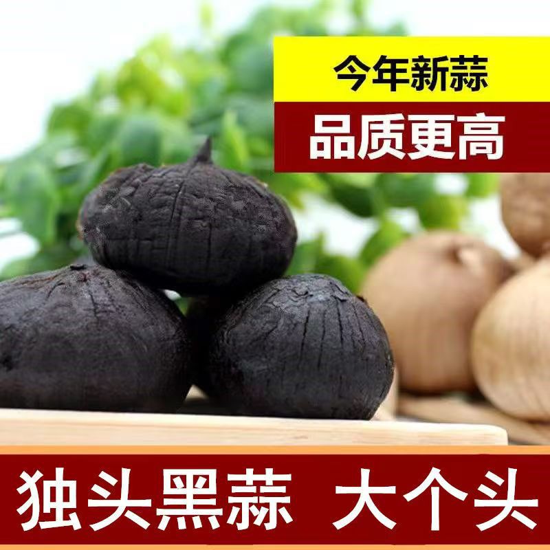 黑蒜独头黑蒜即食煲汤佳品软糯酸甜源头厂家独头黑蒜山东特产整箱