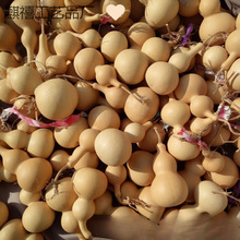 ������Ȼ����J����С̖���J��ˇƷ�[���������J���lС����ͨ؛