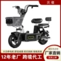 新款成人两轮外贸电动车
