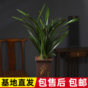 �m���������ī�m���������m�����҃�ֲ��͏d�k���ҾGֲ�ļ����B