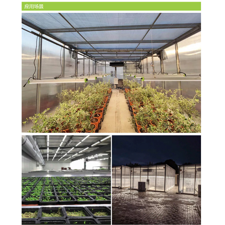 跨境新品植物生长补光灯 水培药材花卉全光谱太阳光灯条