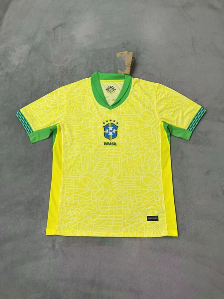 2024 Brazil home