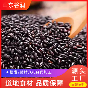 �͜غ決�����ĥ�� �Fĥ����s�Z���{ ԭ�����l