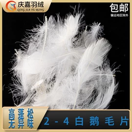 羽毛、羽绒;羽绒被