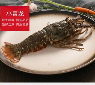 ���С�����������ۺ������r�|ɽ�u�������~�Mœһ�����lֱ����