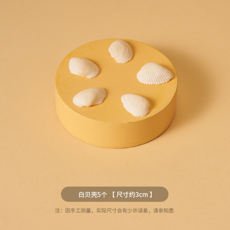 Ins Summer Micro Scenery Beach Accesorios fotográficos Cosméticos Bodegón Fotografía de pose Shell Arenas movedizas Tela de fondo marino