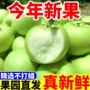 山西孕妇新鲜水果水果