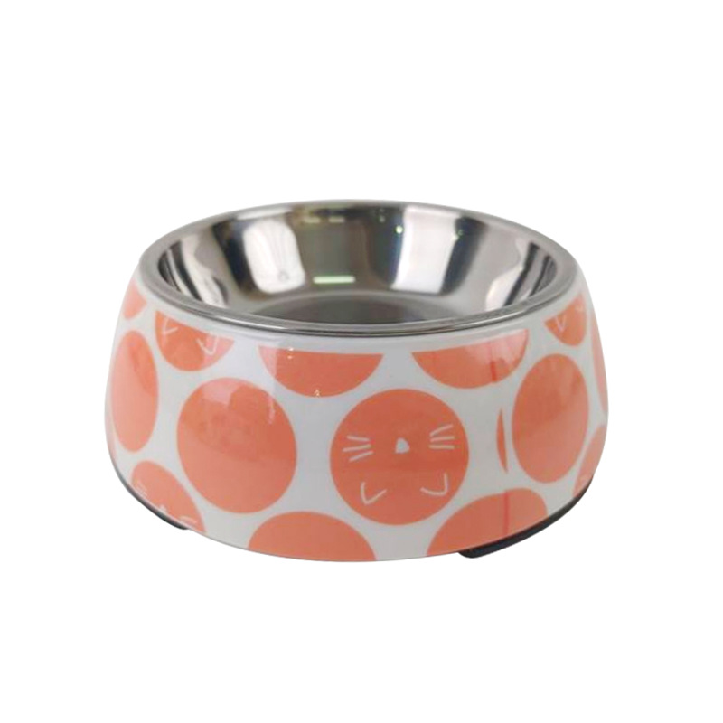 고양이 오렌지 화이트