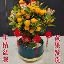 ��ێ�������������ؔ�辰���ӿ�ʳ�ÿ͏d�҃��k�����ļ��۾Gֲ