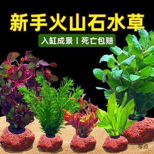 ˮ��ֲ���~������쾰ˮ������ɽʯ�b���ԃ���ˮ�|���Bȫ��