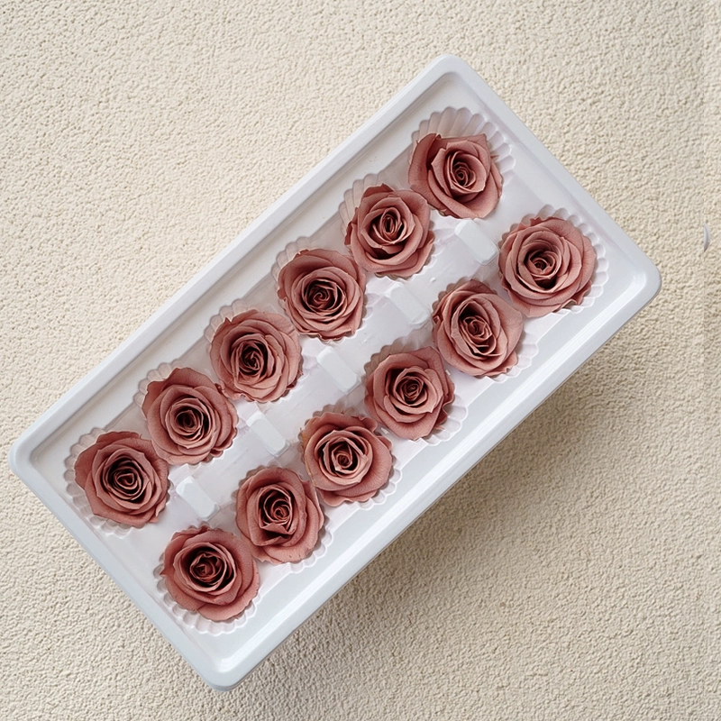 Eternal Rose head A -Class/B -Class Cabca Shengsheng Flower Handmade DIY Teacher's Day Gift Materials