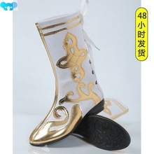 Folk Dance Mongolian Dance Performance Out Boots Xinjiang Bo
