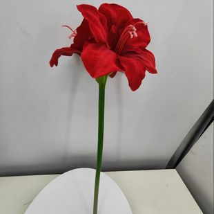�S��ֱ�N�����m/��피t���滨��c���߼ٻ��bҾӲ���-���պ���