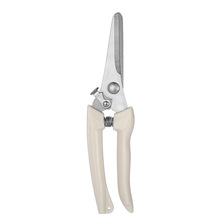 ��֦��ȫ�׈@ˇ��@��ɰ����ժ�����������քӹ��߼����@����