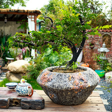 ͹Ÿֵ̖߿V໨ؾGֲ͏d޾Ƶ҃Ȕ[