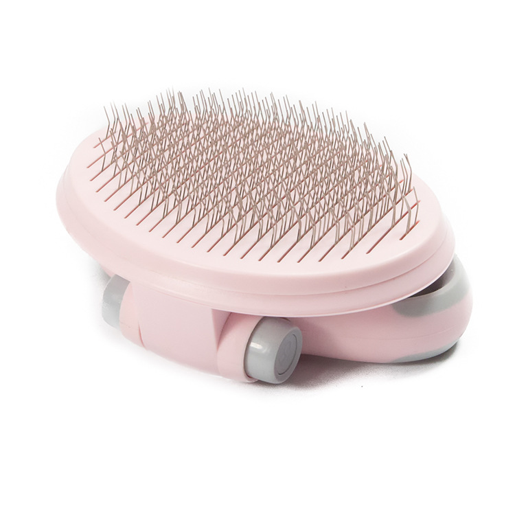 DELEӴ۵ֱЯèͨԽ˿