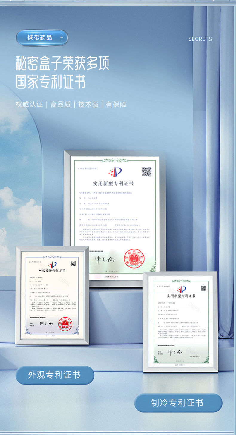 Refrigerator Box for Insulin, Portable Medicine Special Rechargeable Battery, Portable Car Mini Refrigerator