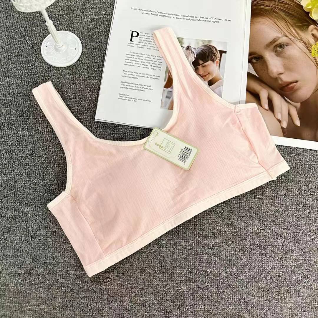 Nueva taza fija sin costuras hermosa espalda sin anillo de acero ropa interior chaleco chaleco cómodo ropa interior damas base sostén al por mayor