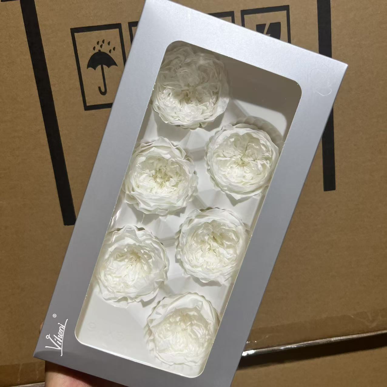 Grado A 5 - 6cm Blanco 6 flores / caja