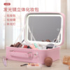 Cosmetic bag for traveling, handheld mirror with light, Amazon